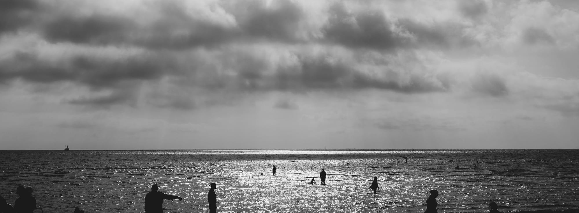 Apelviken